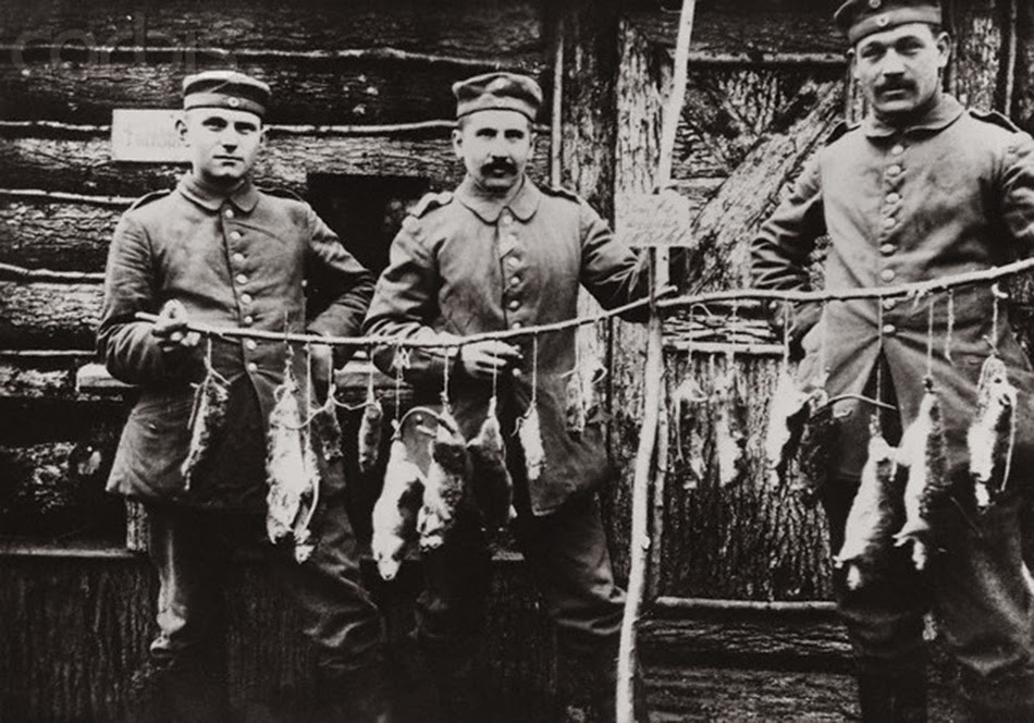 Trench rats killed by a terrier, 1916 3