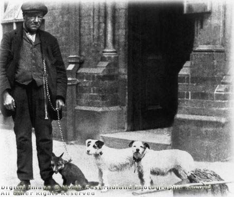 Taken from http://www.picturethepast.org.uk John Wheeldon, better known as John Gaunt. He lived at Sawmills but worked for the Midland Railway Company, travelling the lines as a ratcatcher. He is the only person known to have successfully trained foxes to 'rat' for economic use, and claimed they were better than terriers becaused they could hold five rats in their mouths at once. The ratcatcher had to be quick because, unlike a terrier, foxes did not kill the rats outright. His best two foxes, however, were killed accidentally by gamekeepers. Such was his national fame that he was described in a book as a 'great sportsman great Englishman'. He died , aged seventy three, at the home of a friend in Belper in November 1924, and was buried in Crich churchyard. He was also a prize-winning member of Ambergate Cottage Garden Society.