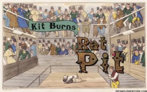 kit-burns-rat-pit-273-water-street