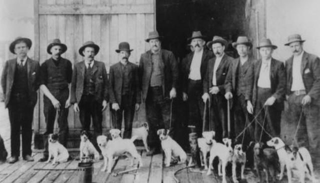 Rat dogs pictured with their handlers, ca. 1905. Whilst Sydney was most affected, the disease also spread to other parts of Australia. 
