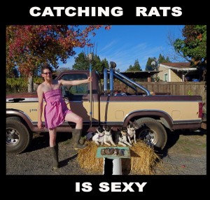 catchingrats issexy  